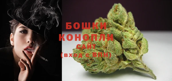 первитин Богданович