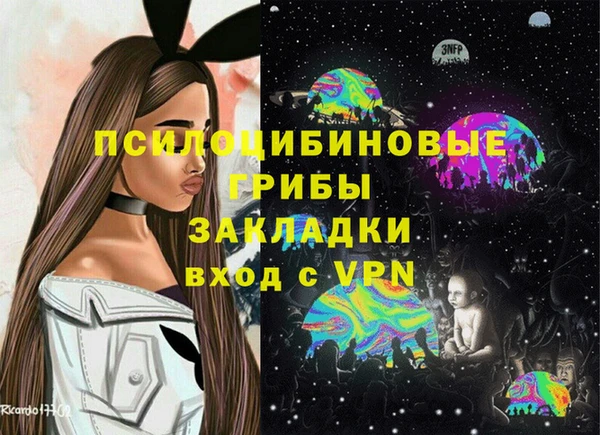 гидра Михайлов
