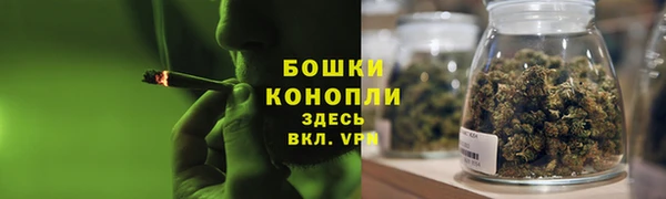 мяу мяу мука Михайловск