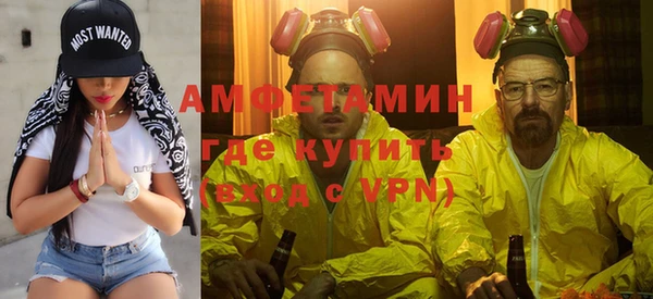 мяу мяу мука Михайловск
