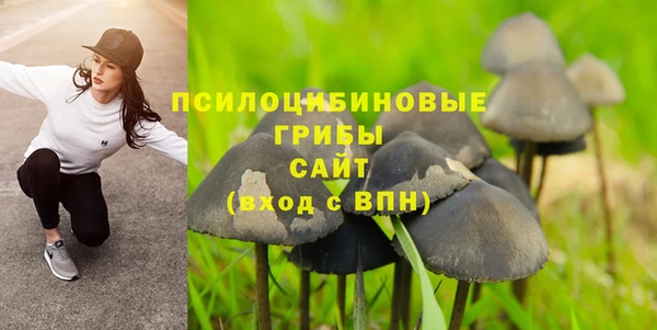 гидра Михайлов